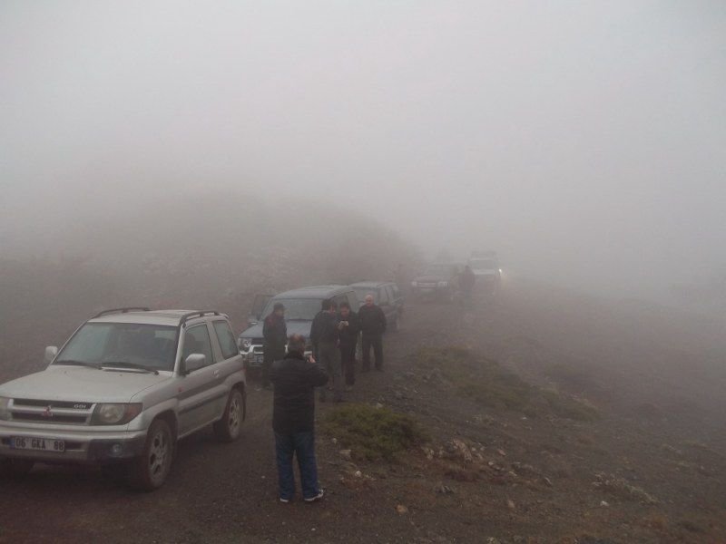 100_0147 [800x600].jpg