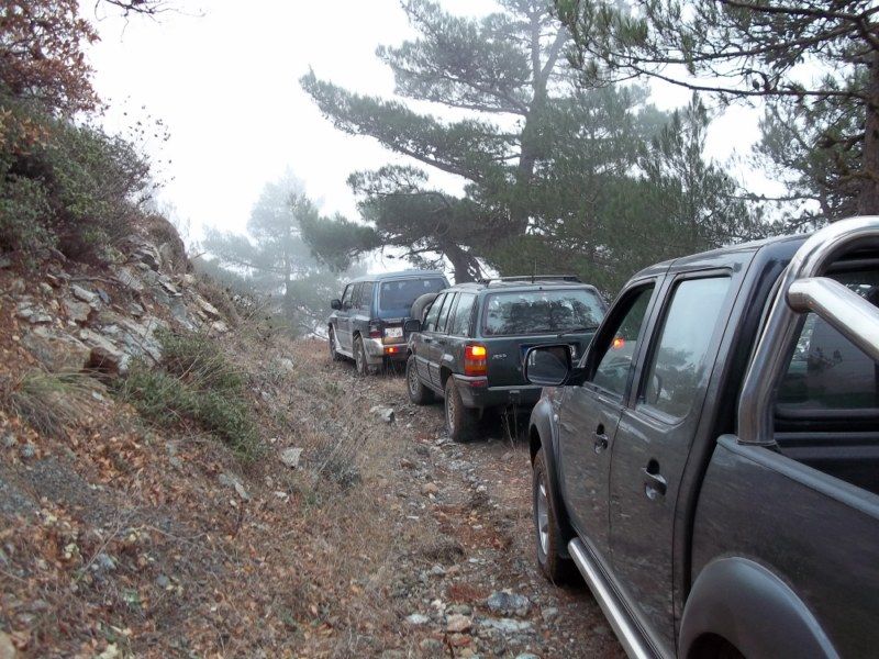 100_0152 [800x600].jpg