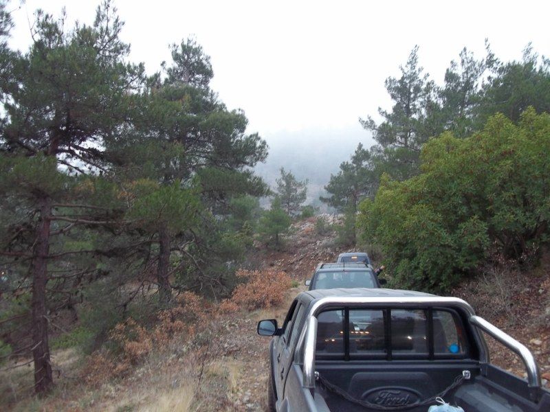 100_0158 [800x600].jpg