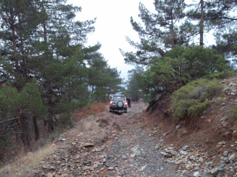 100_0160 [800x600].jpg