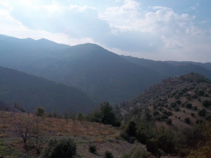 100_0195 [800x600].jpg