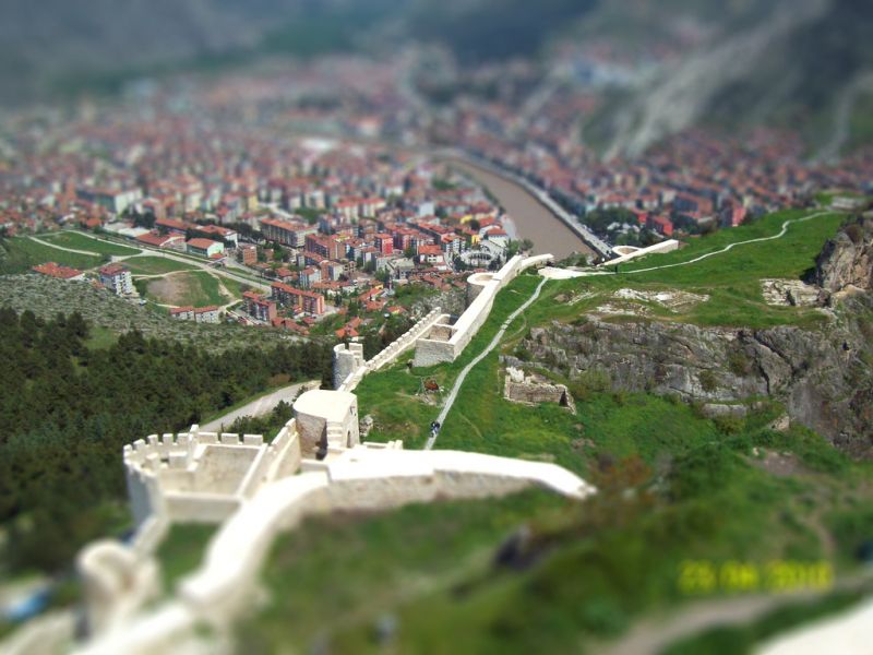 100_1362-tiltshift.jpg