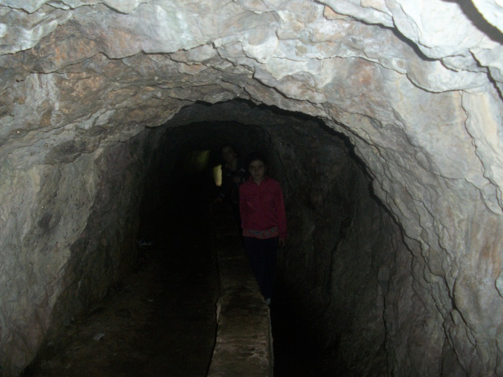 100_2208.JPG