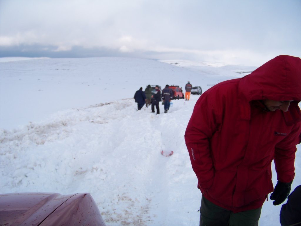 100_8552.jpg