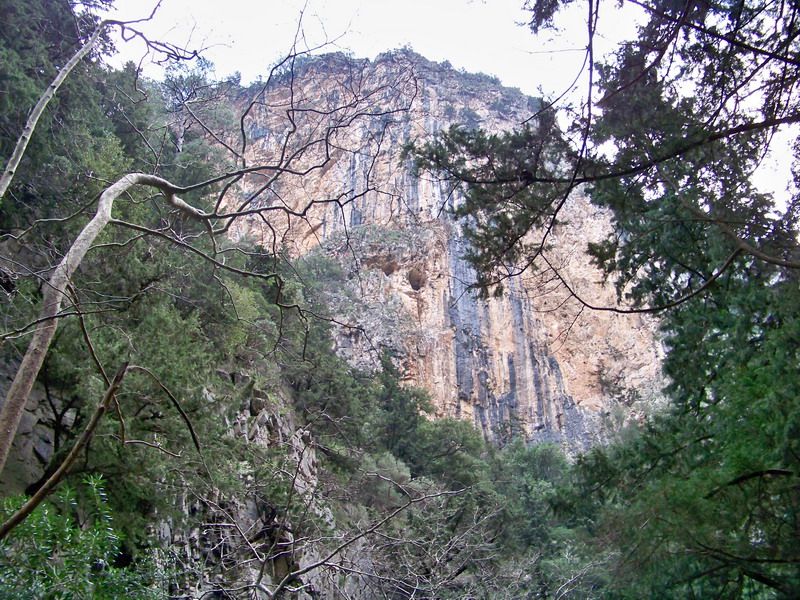 100_9753_resize.jpg