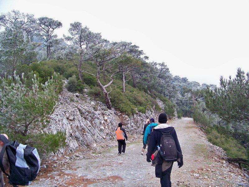 100_9817_resize.jpg