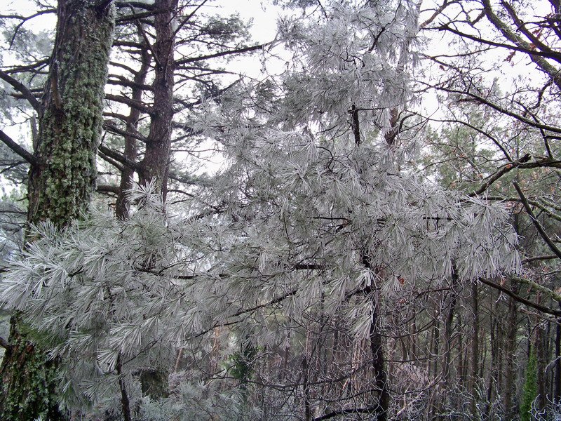 100_9848_resize.jpg
