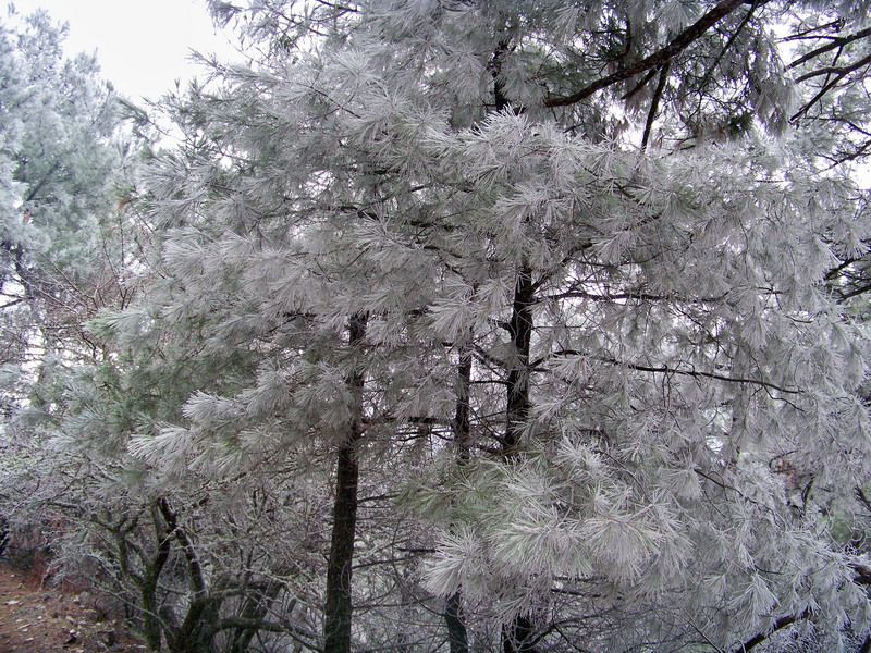 100_9850_resize.jpg