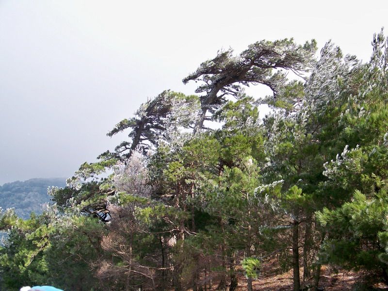 100_9921_resize.jpg