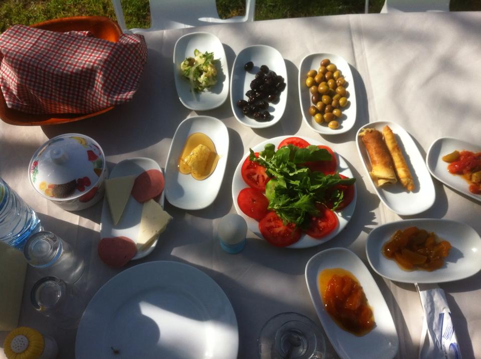 10150774_441996609279276_2021648065_n (1).jpg