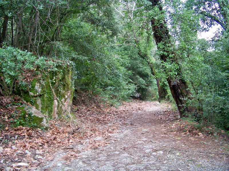 101_0016_resize.jpg