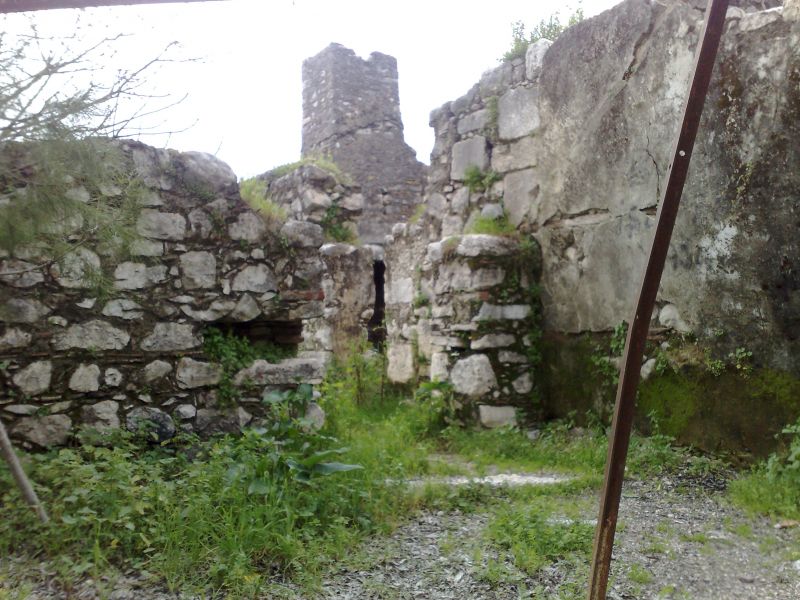 110120104549.jpg