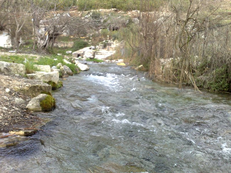 110120104550.jpg