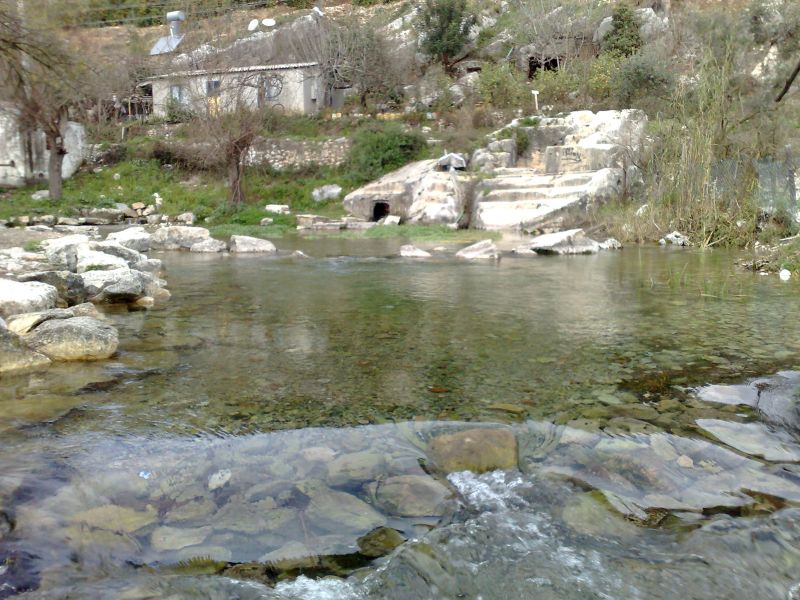 110120104553.jpg