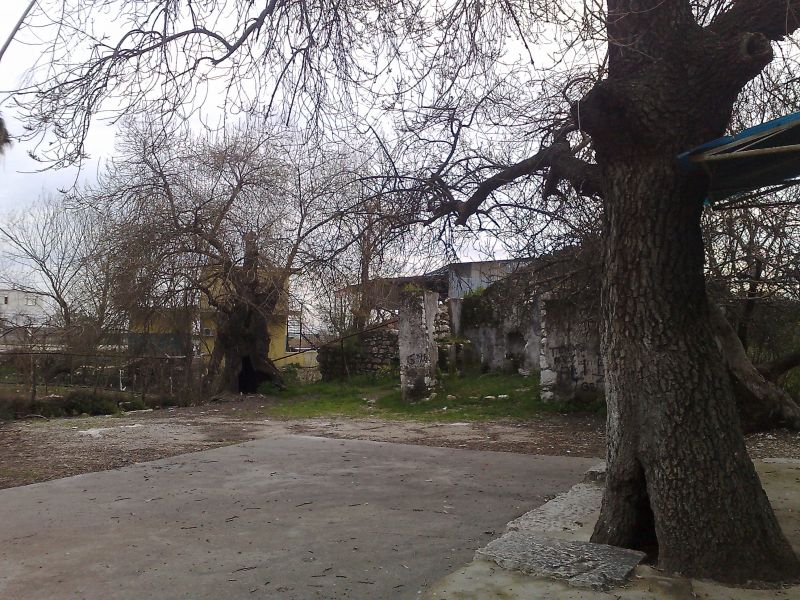 110120104564.jpg