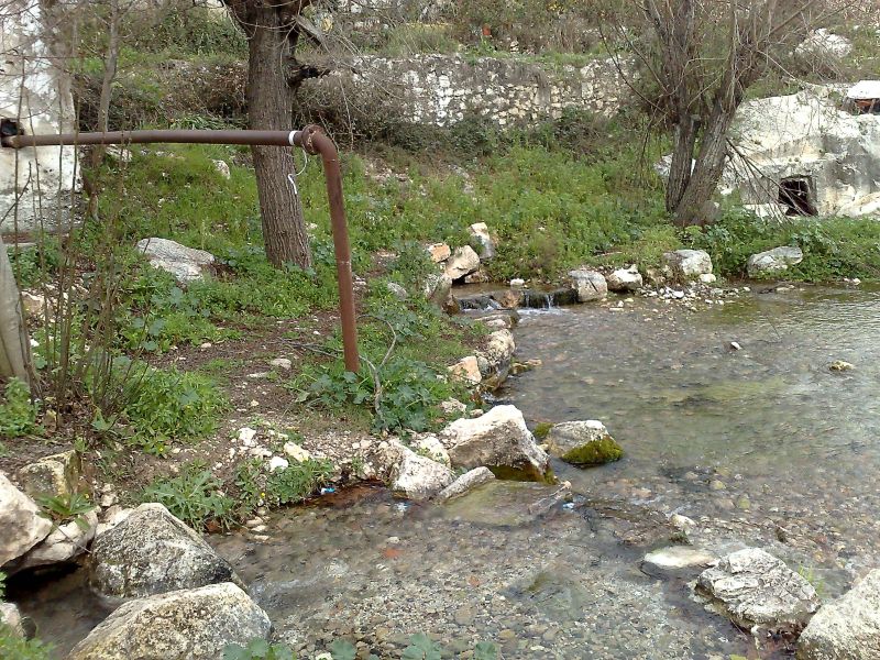 110120104566.jpg