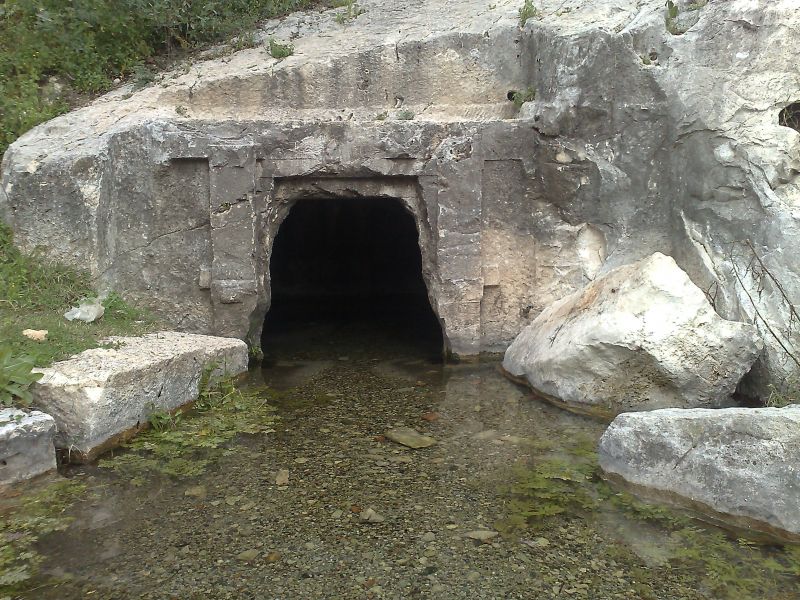 110120104569.jpg