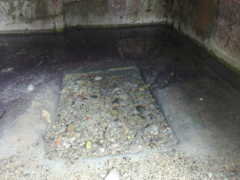 110120104571.jpg