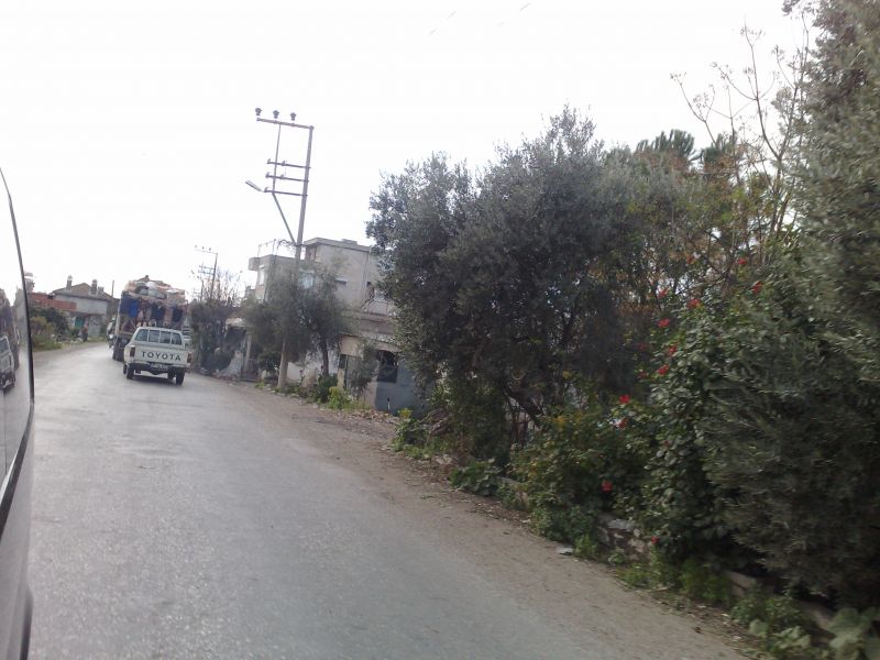 110120104581.jpg