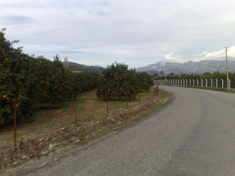 110120104584.jpg