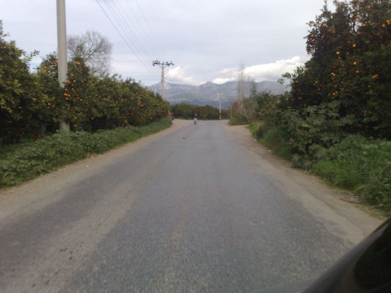 110120104587.jpg
