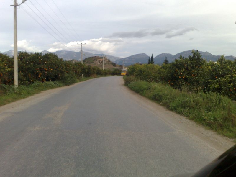 110120104588.jpg