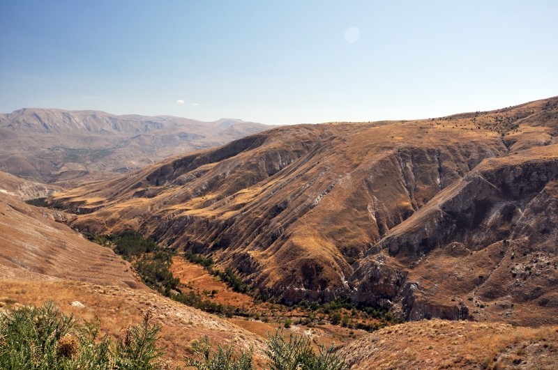 110_800x531.JPG