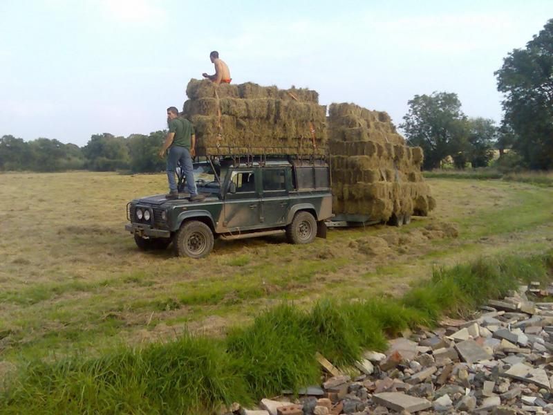 110_with_bales_245183400_std.jpg