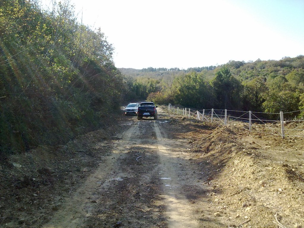 11112012366.jpg
