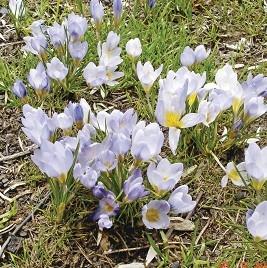 11453265.jpg 11453265.jpg