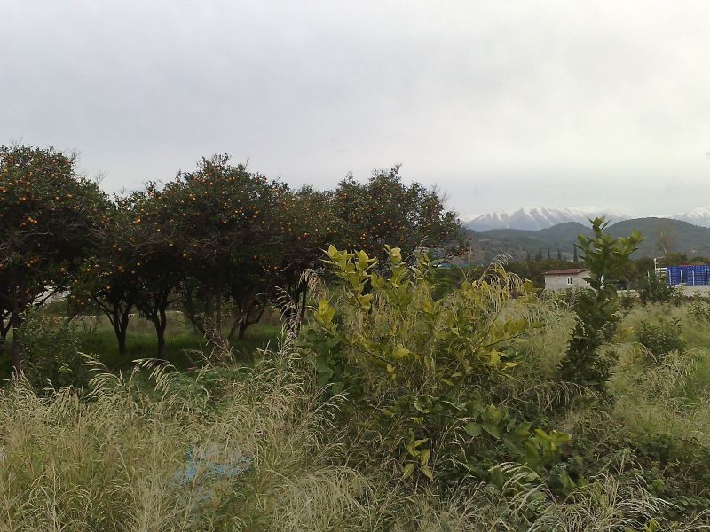 120120104604.jpg