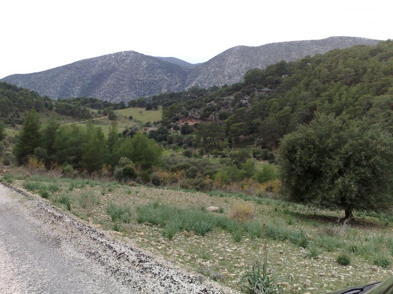 120120104722.jpg