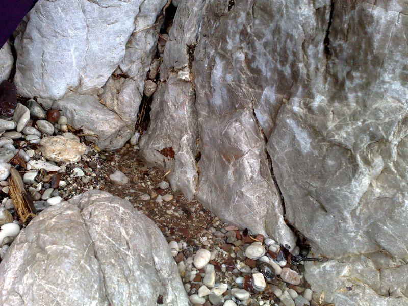 130120105228.jpg