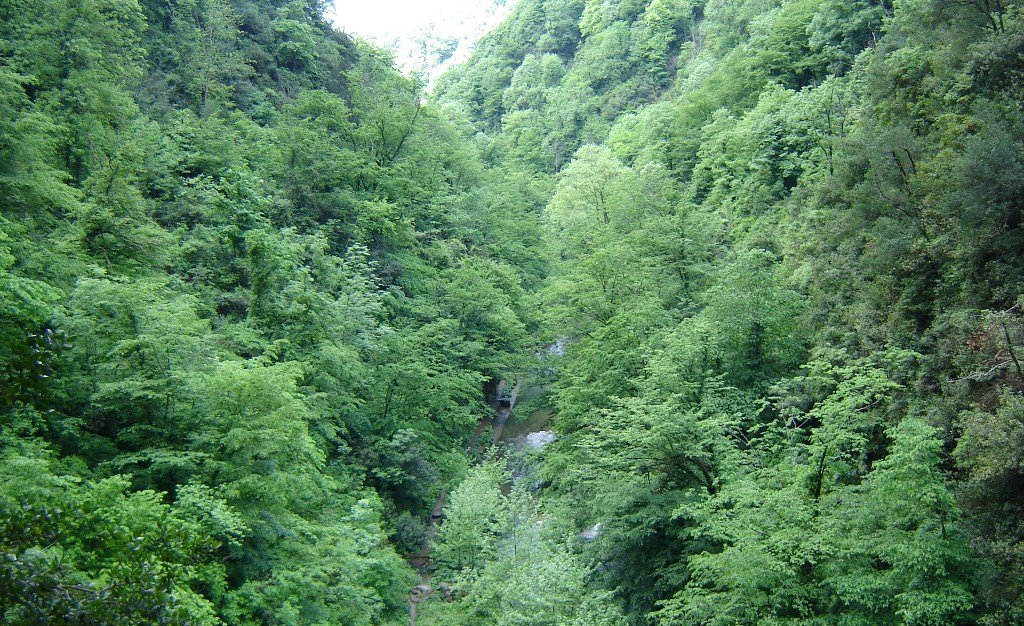 140502 Maden deresi (11).JPG