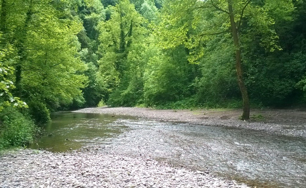 140502 Maden deresi (24).jpg