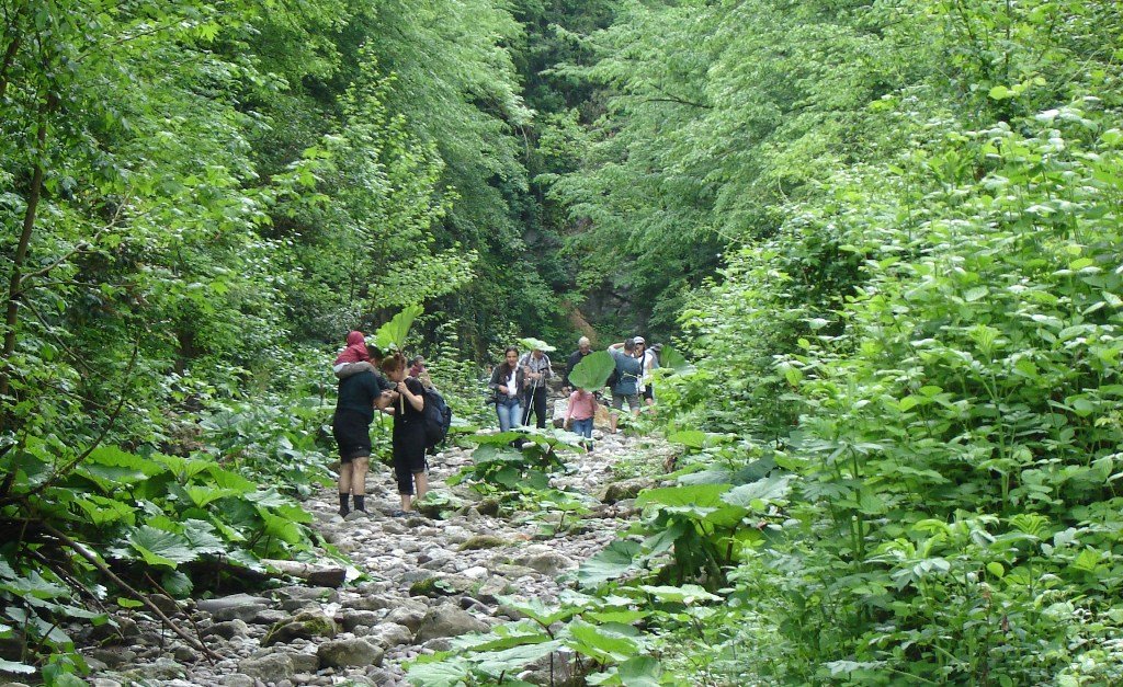 140502 Maden deresi (31).JPG