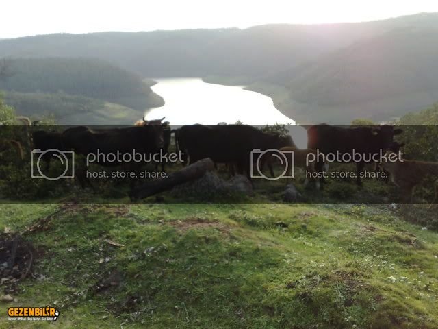 14122008975.jpg 14122008975.jpg