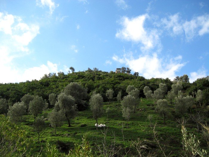 15.02.09 - G.Bahce 014.jpg