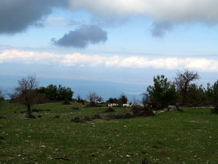15.02.09 - G.Bahce 036.jpg