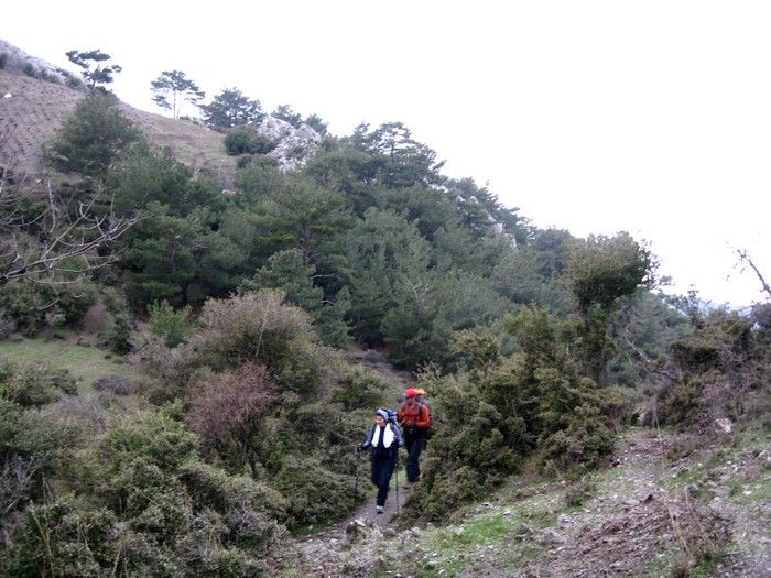 15.02.09 - G.Bahce 057.jpg
