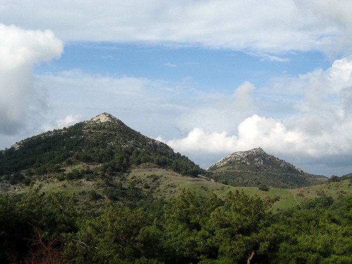 15.02.09 - G.Bahce 077.jpg