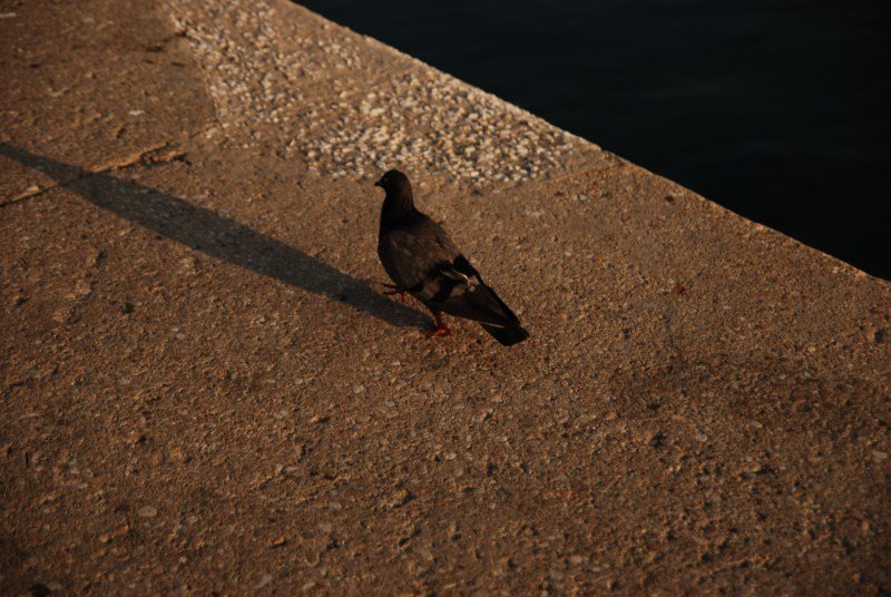 15.07.2012 Greece-Kavala-Batis 034 [800x600].JPG