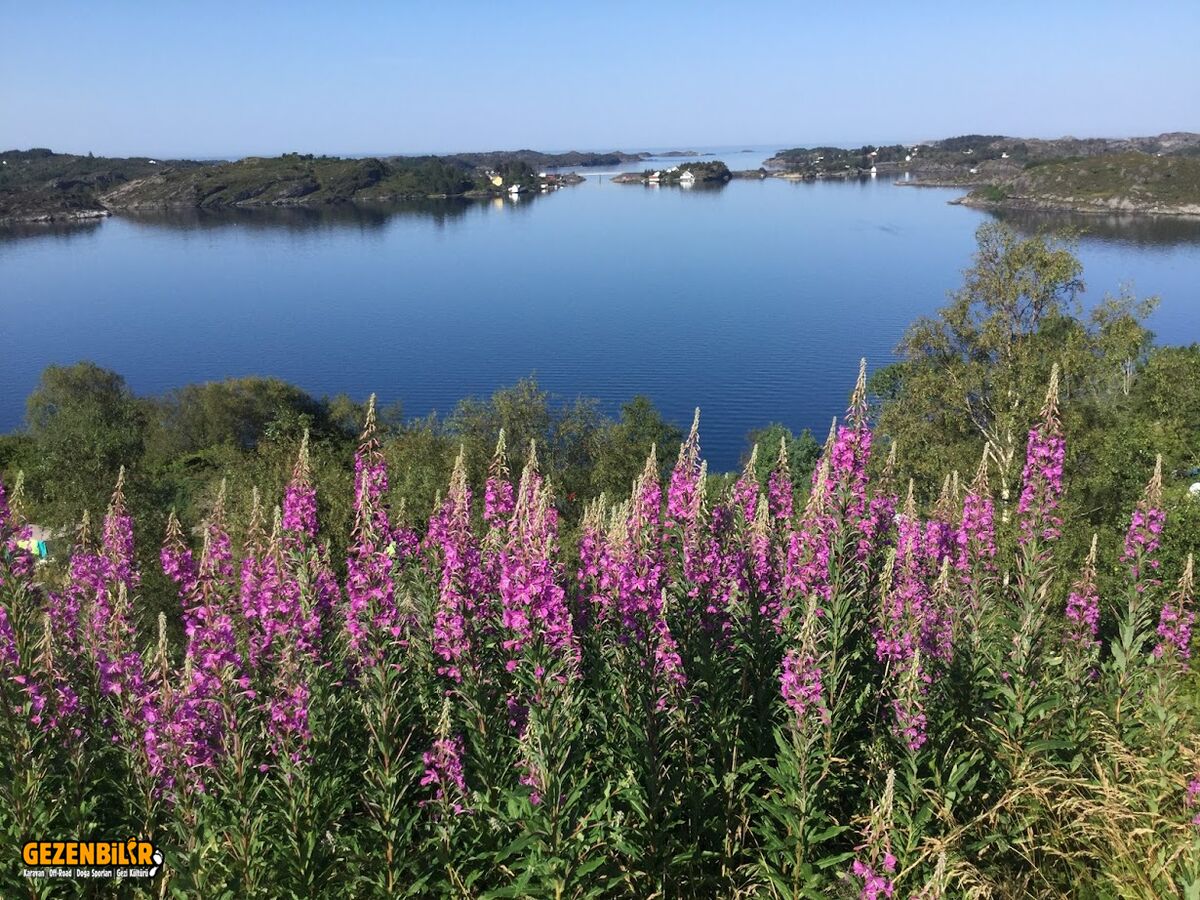 1642755586058.png 1642755586058.png