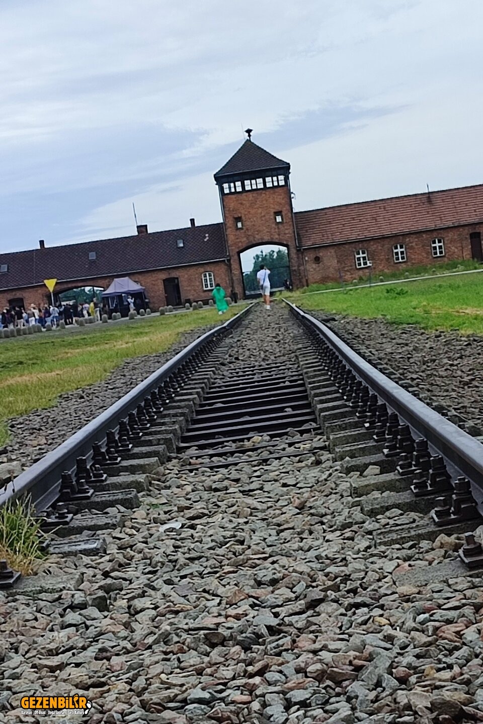 1754650772458.jpeg