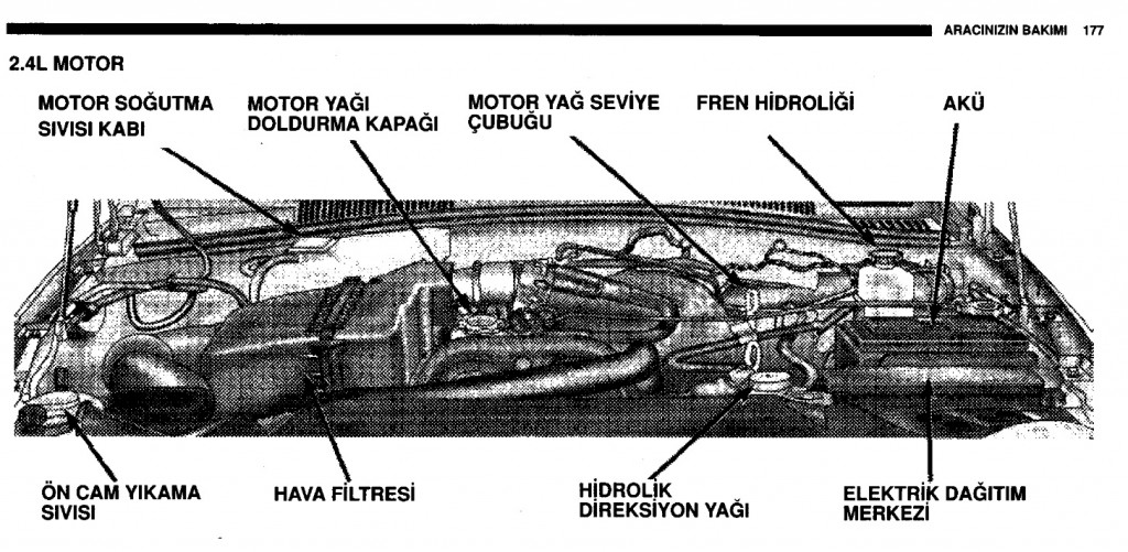 177.jpg
