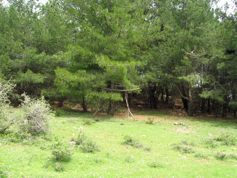 18 Nisan - GÃƒÂƒÃ‚Â„ÃƒÂ‚Ã‚Â°G 041.jpg