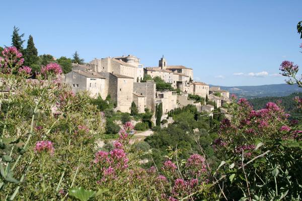 1899385_10152187399239485_98400646_o.jpg 1899385_10152187399239485_98400646_o.jpg