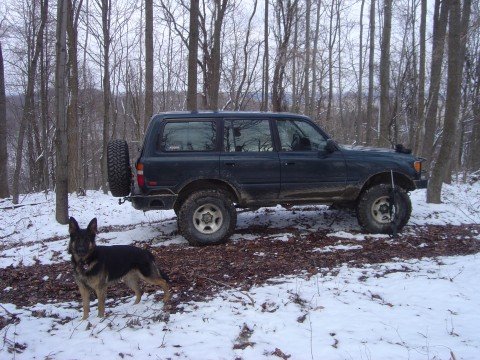 1995-toyota-landcruiser-fzj80-dogs_cruiser-005.jpg