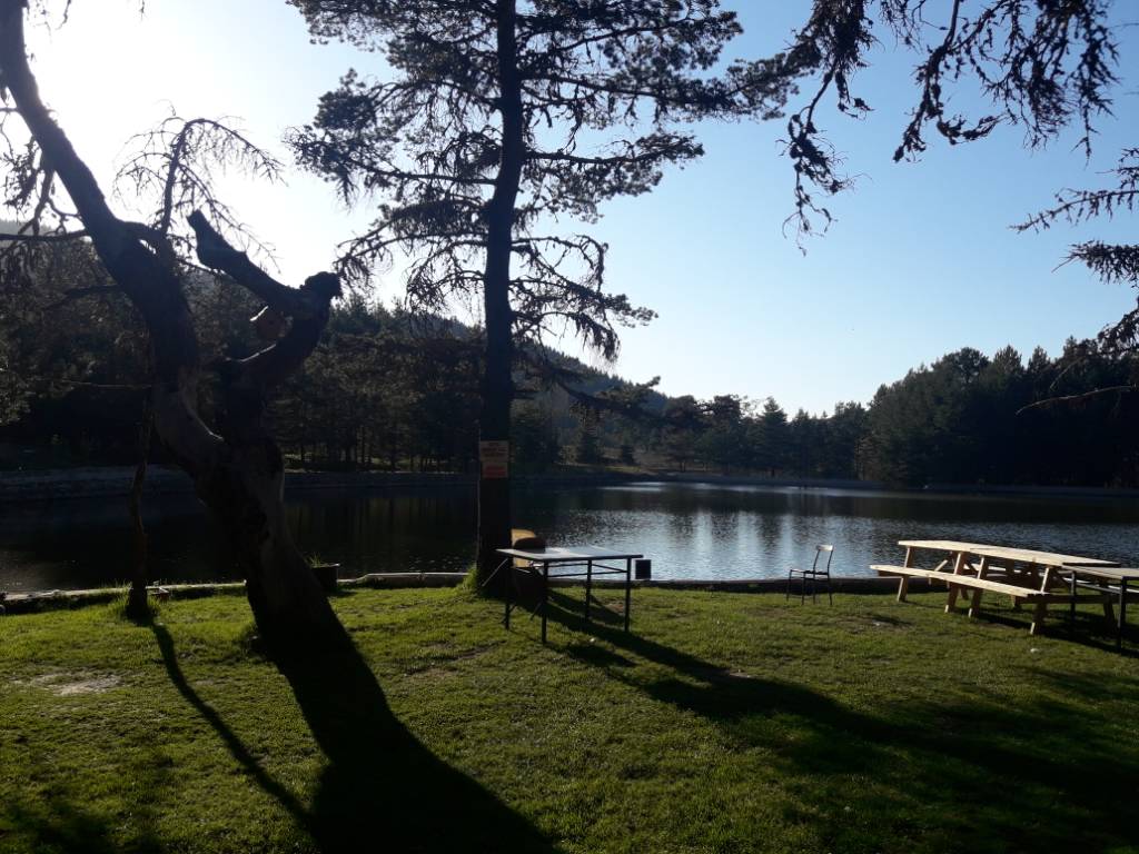 19c3f32db5e3df418f2274d62517d8ab.jpg 19c3f32db5e3df418f2274d62517d8ab.jpg