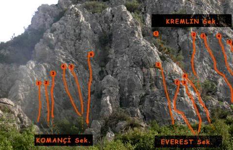 1aef.jpg